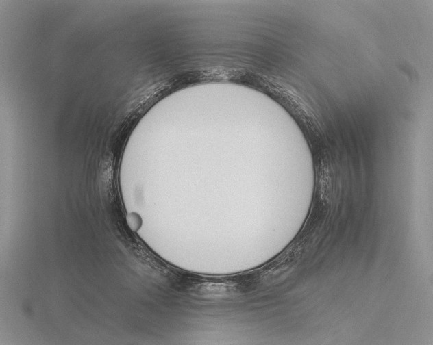 X0000115660314200912101057