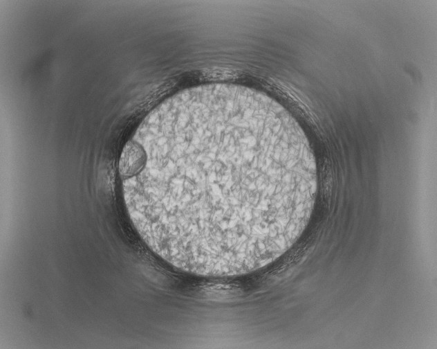 X0000115660315200912101057