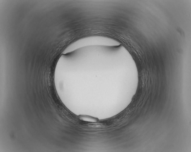 X0000115660316200912101057