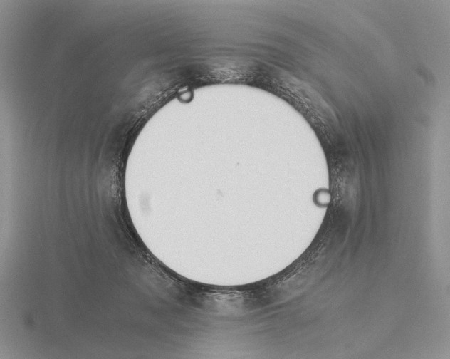 X0000115660317200912101057