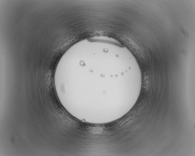 X0000115660318200912101057