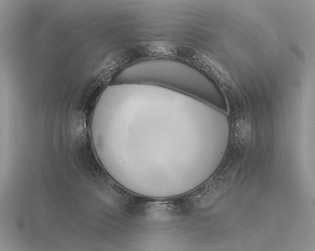 X0000115660320200912101057