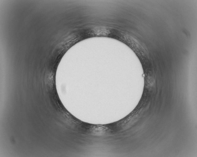 X0000115660321200912101057