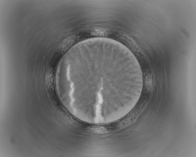 X0000115660322200912101057