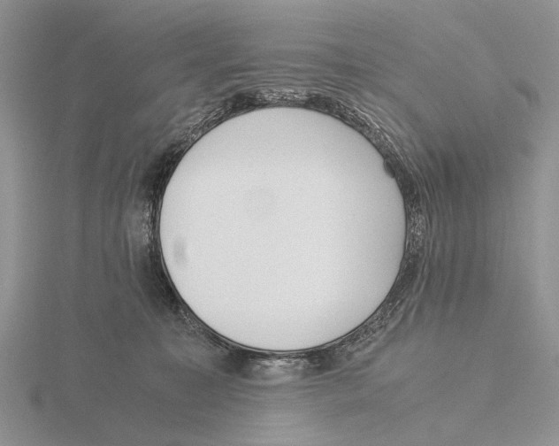 X0000115660323200912101057