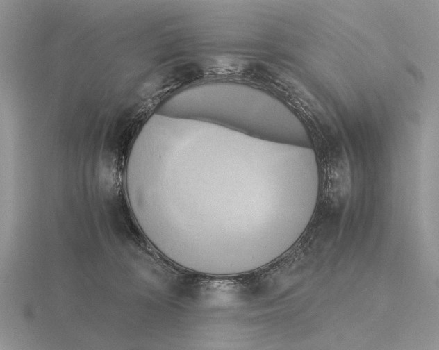 X0000115660324200912101057