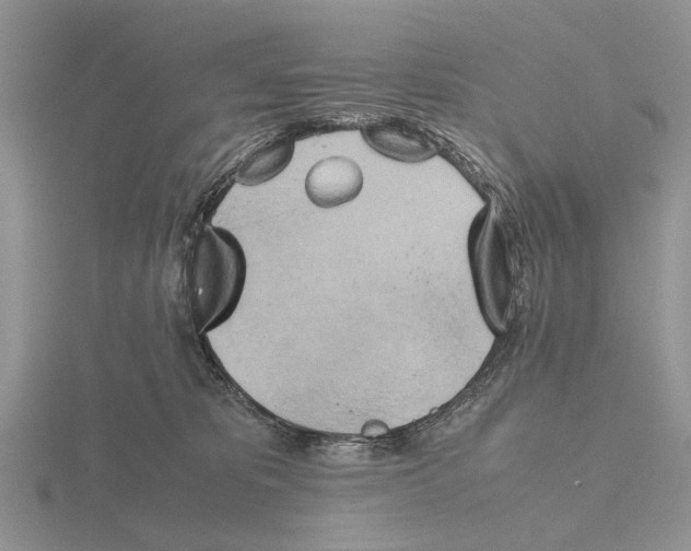 X0000115660325200912101057