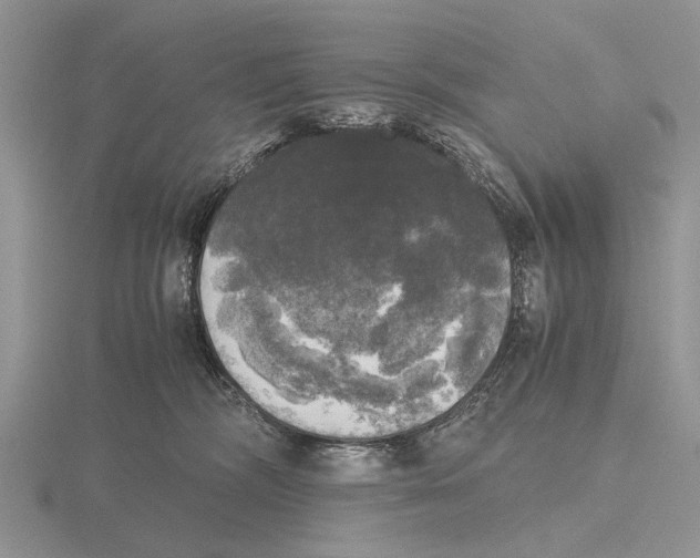 X0000115660326200912101057