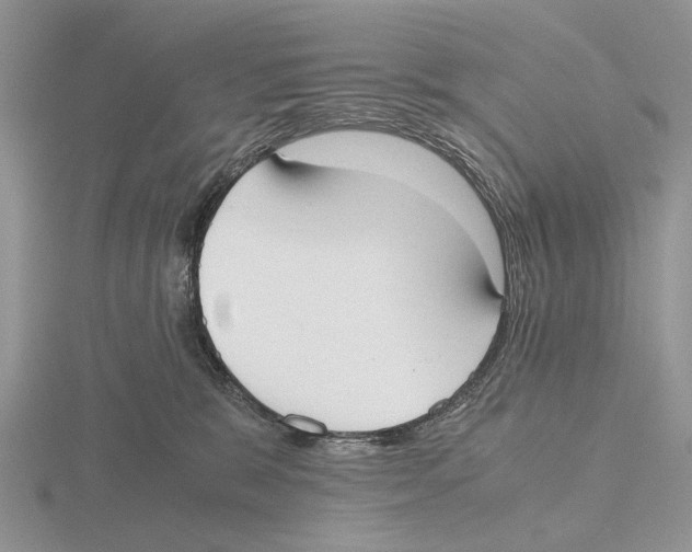 X0000115660327200912101057