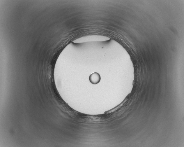 X0000115660328200912101057