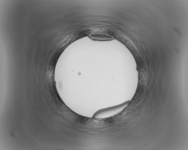 X0000115660329200912101057