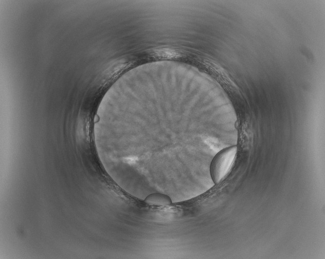 X0000115660330200912101056