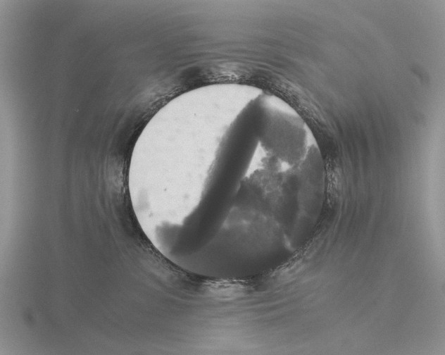 X0000115660331200912101056