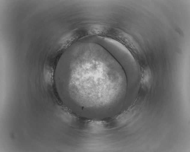 X0000115660332200912101056