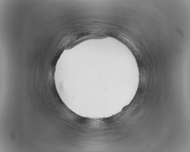 X0000115660333200912101056