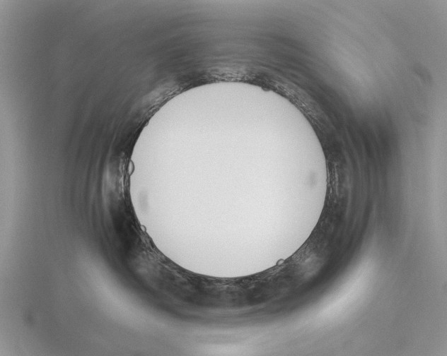 X0000115660334200912101056