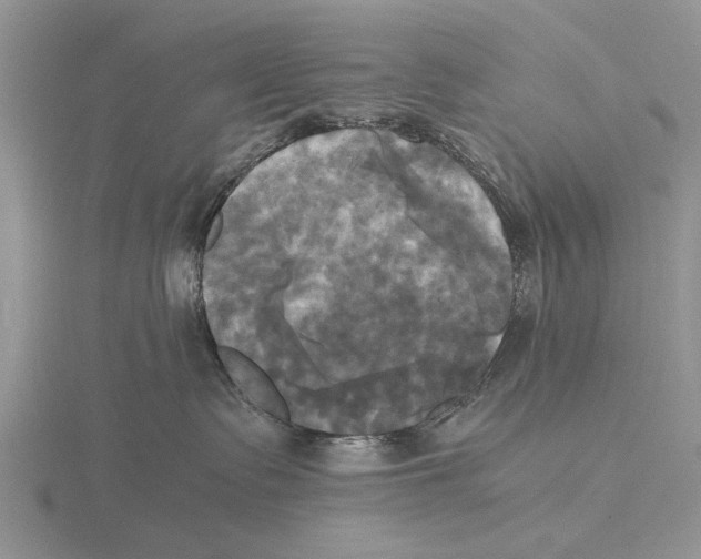 X0000115660335200912101056