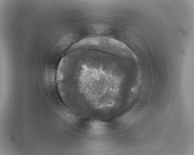 X0000115660336200912101056