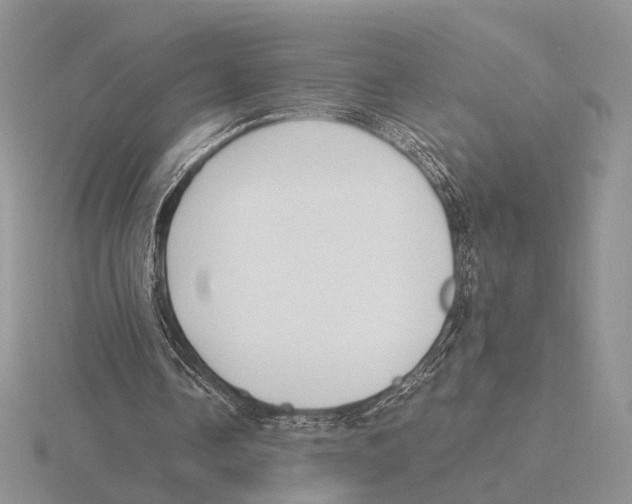 X0000115660338200912101056