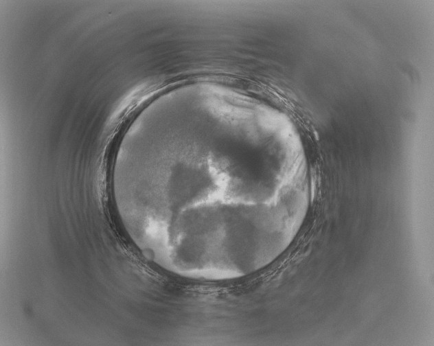 X0000115660339200912101056