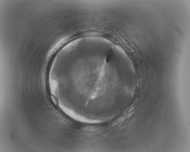 X0000115660341200912101056