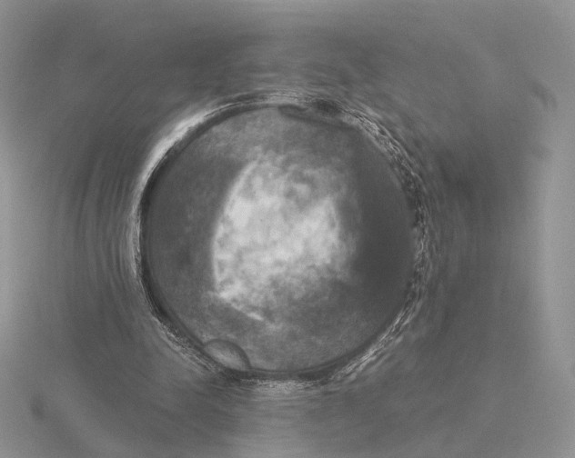 X0000115660342200912101056