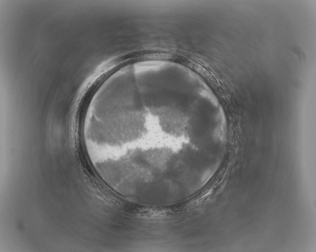 X0000115660343200912101056