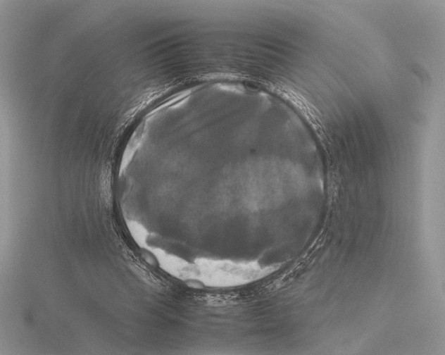 X0000115660345200912101056