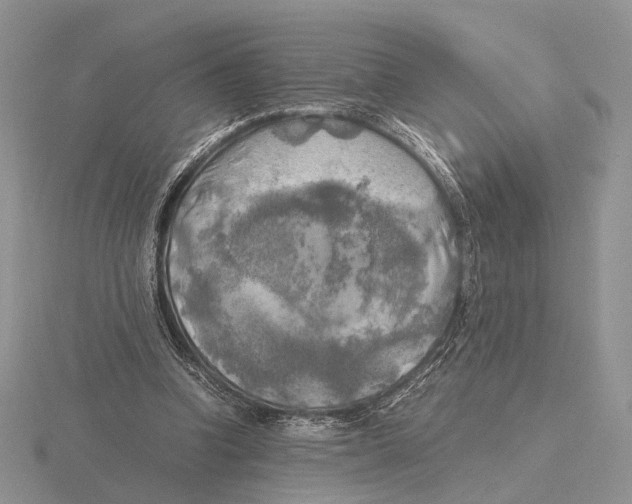 X0000115660346200912101056