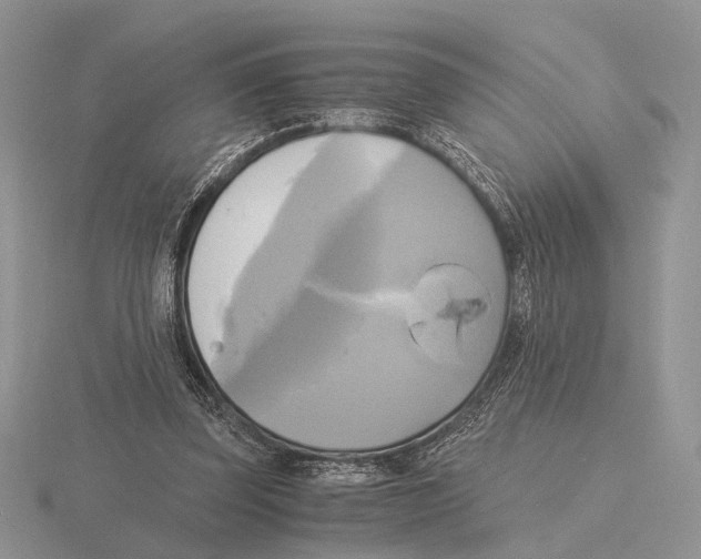 X0000115660347200912101056