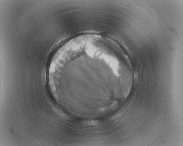 X0000115660349200912101056