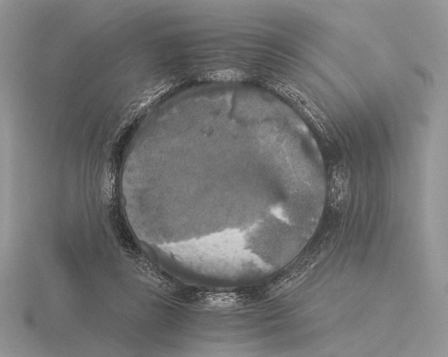 X0000115660355200912101056