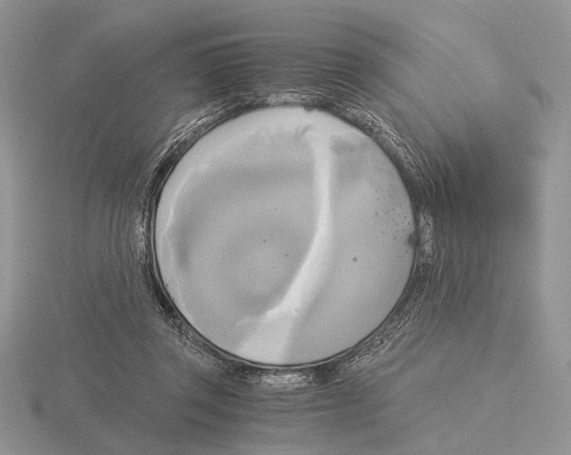 X0000115660357200912101056