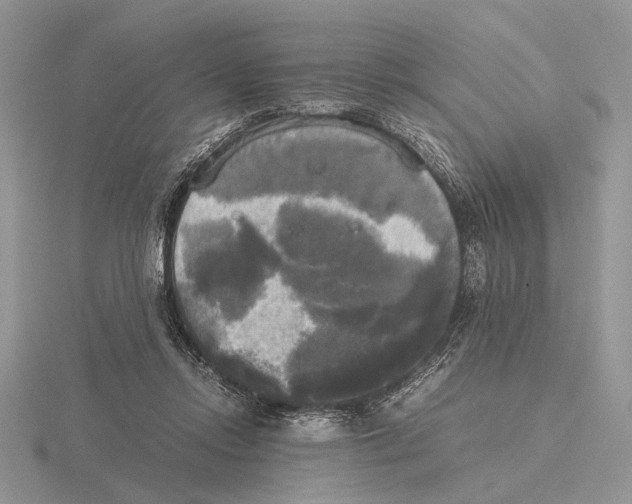 X0000115660358200912101056