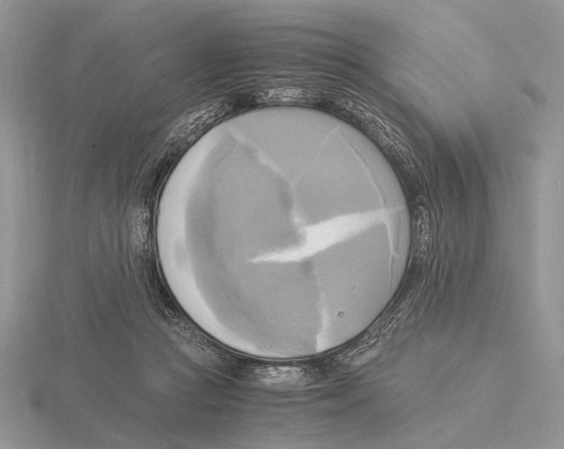 X0000115660361200912101056