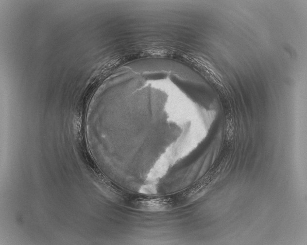 X0000115660365200912101056