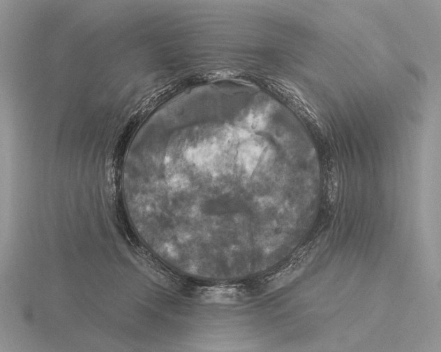 X0000115660366200912101056