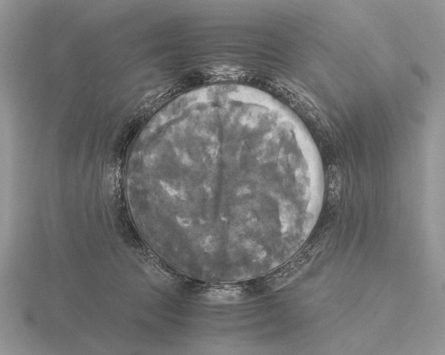 X0000115660369200912101056