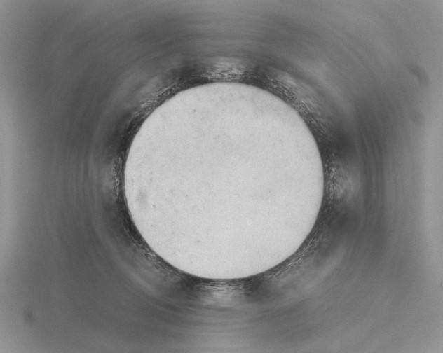 X0000115660370200912101056