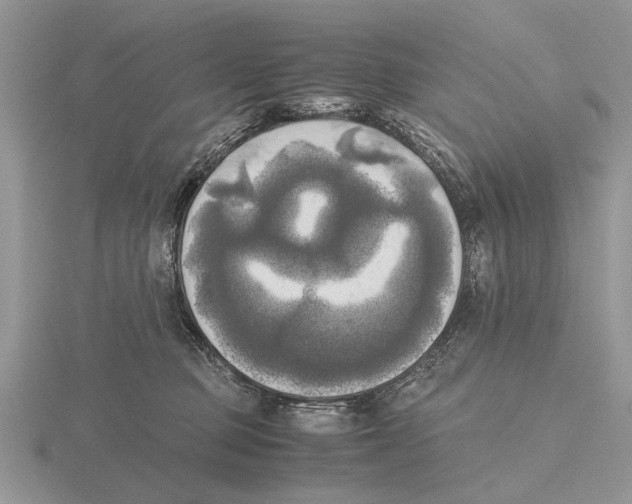 X0000115660373200912101056