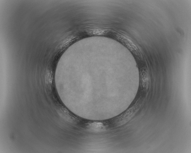 X0000115660374200912101056