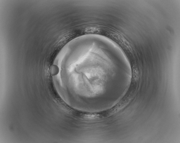 X0000115660375200912101056