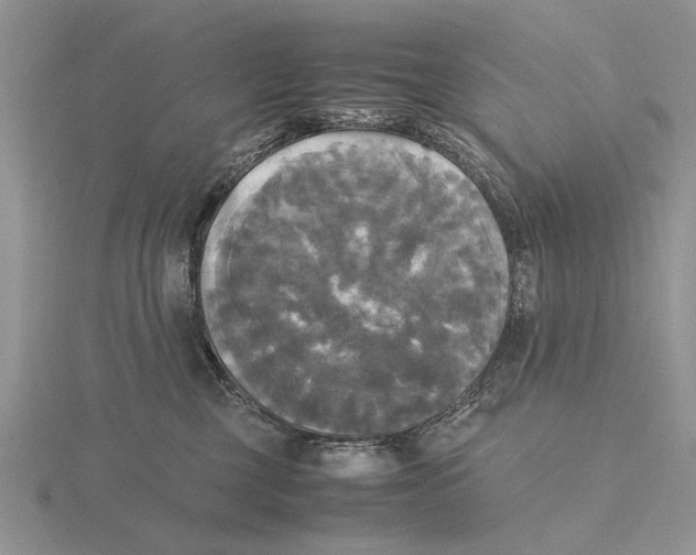 X0000115660377200912101056