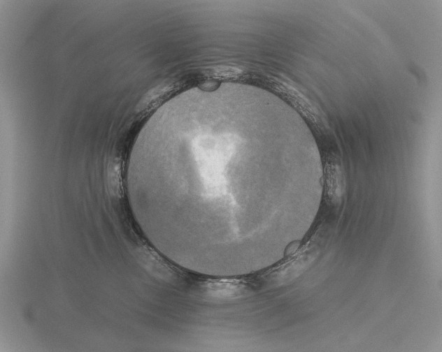 X0000115660378200912101056