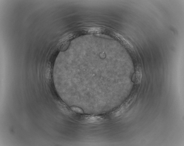 X0000115660379200912101056