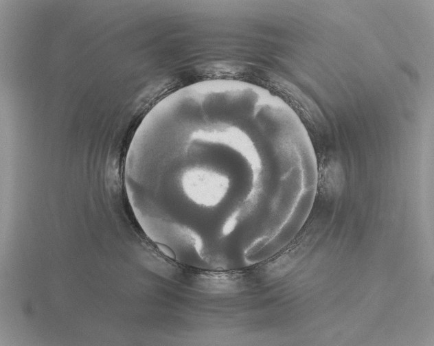 X0000115660381200912101056