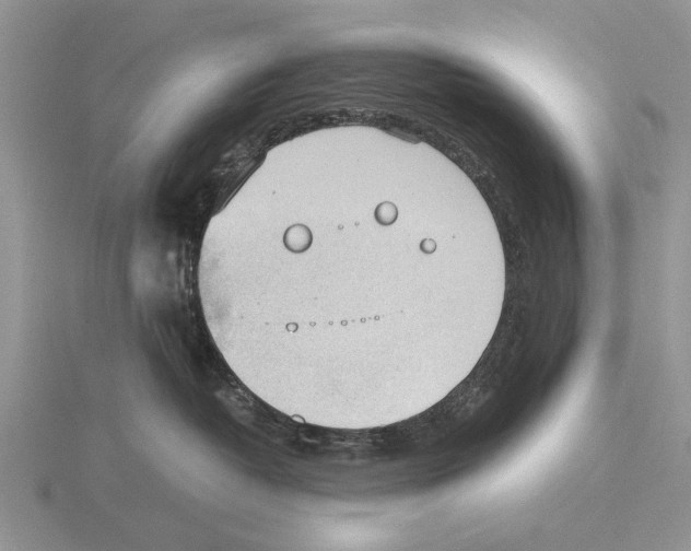 X0000115660382200912101056