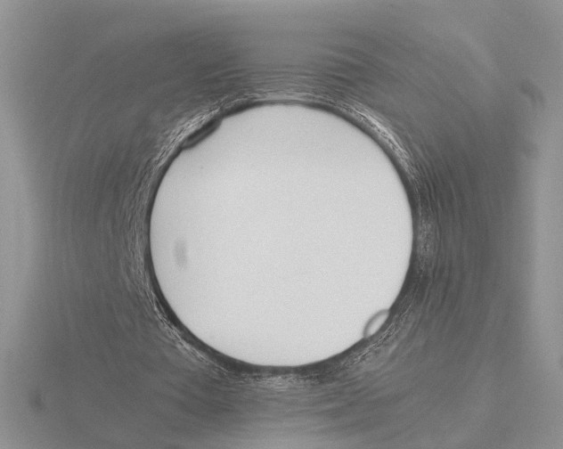 X0000115660385200912101056