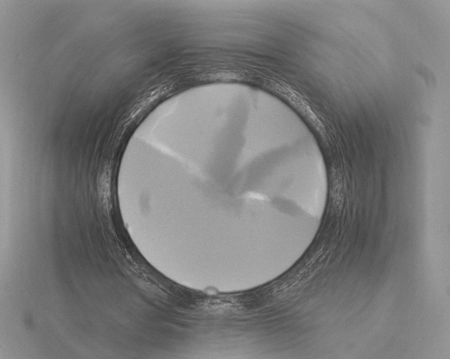 X0000115660386200912101056