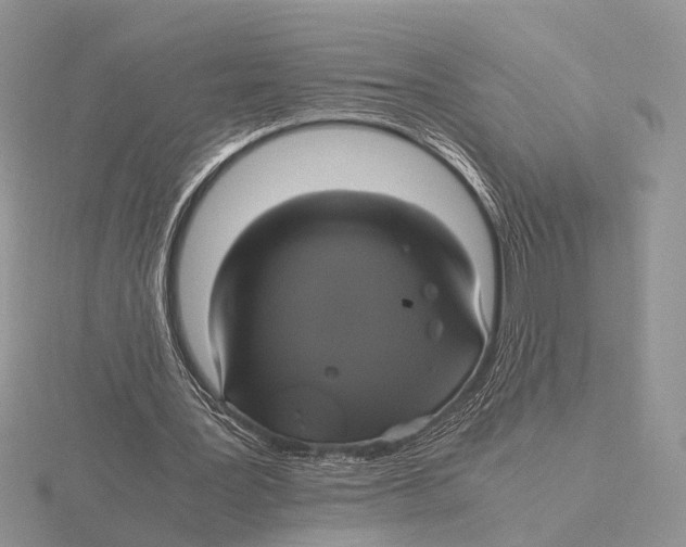 X0000115660387200912101056